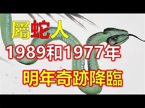 1989 屬蛇|【1989蛇】《1989年蛇寶寶大解密：五行屬性、天乙貴人全攻略。